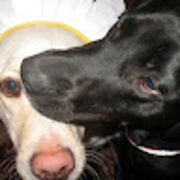 Meet your Posher, Debra - Picture 1 of 1